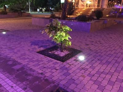 Прикрепленное изображение: IMG_9253.jpeg